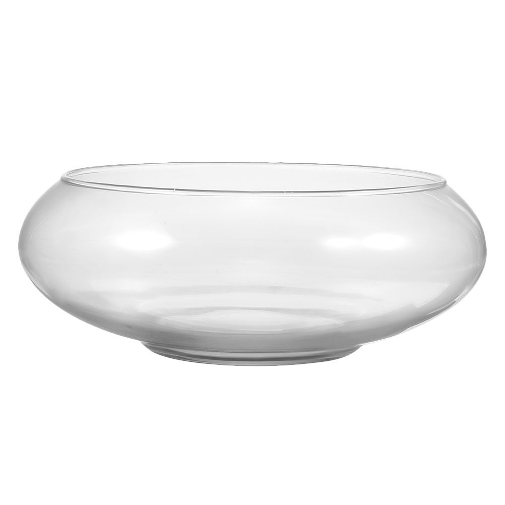 Wide Mouth Glass Vase Narcissu - Propagation Station Vase review and price