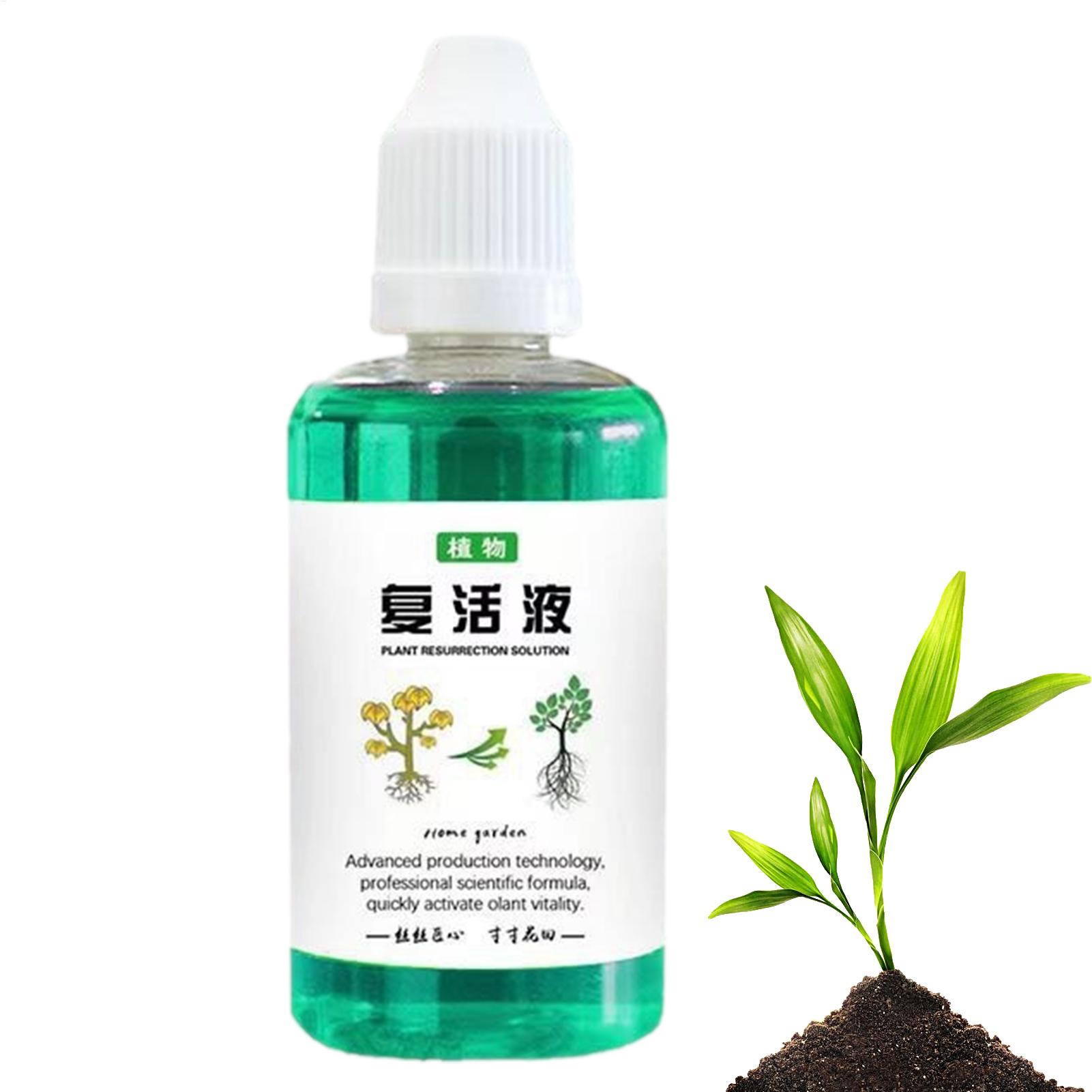 50ml Root Stimulator Plant Res - Root Stimulator Liquid review and price