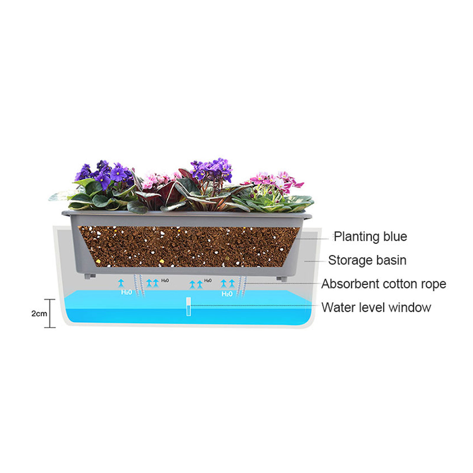 Self-Watering Planter Pots wit - Self Watering Insert review and price