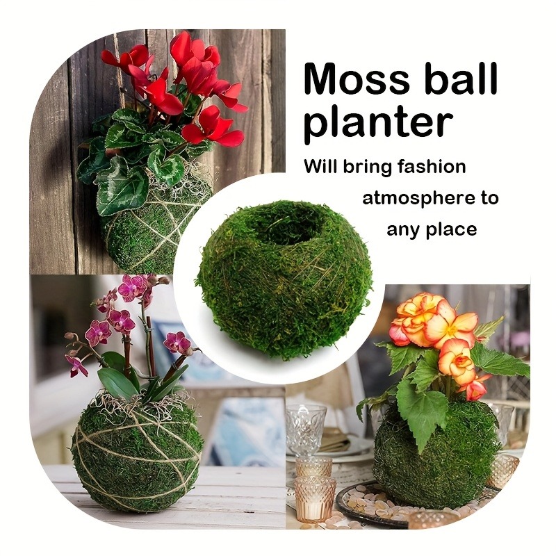 Artificial Moss Ball Planter,  - Sphagnum Moss Dry review and price