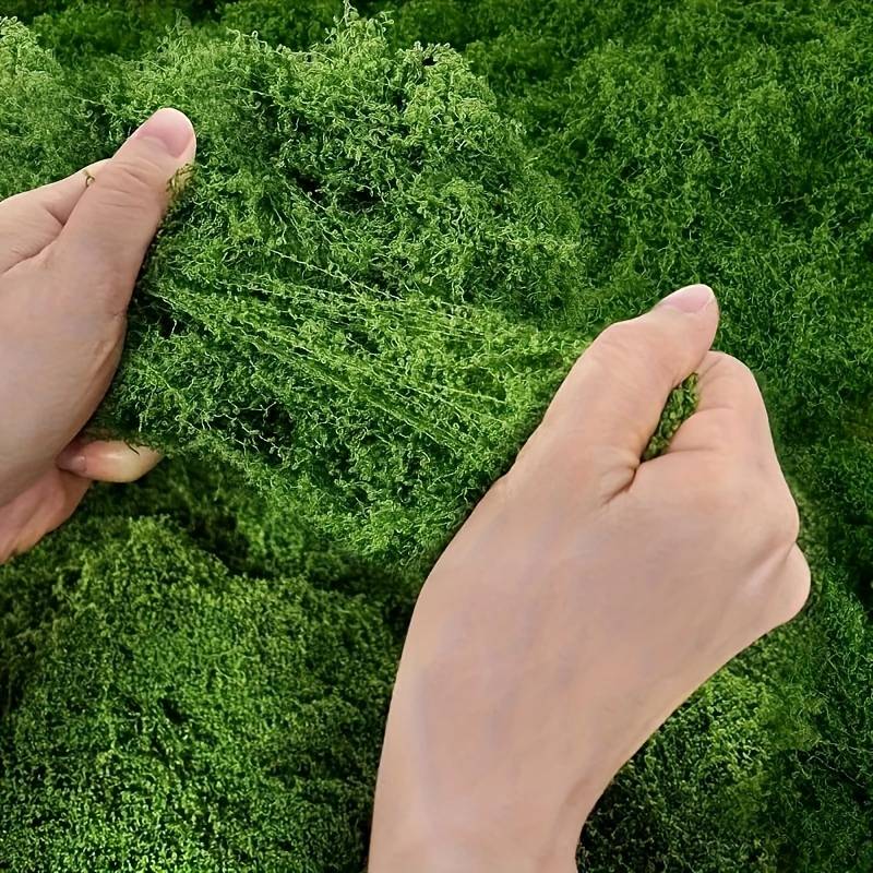 20' X 20' Faux Moss Mat for Pl - Sphagnum Moss Dry review and price