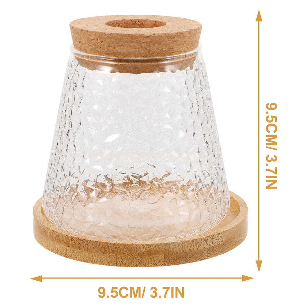 2Pcs Glass Hydroponic Vase Vol - Propagation Station Vase review and price