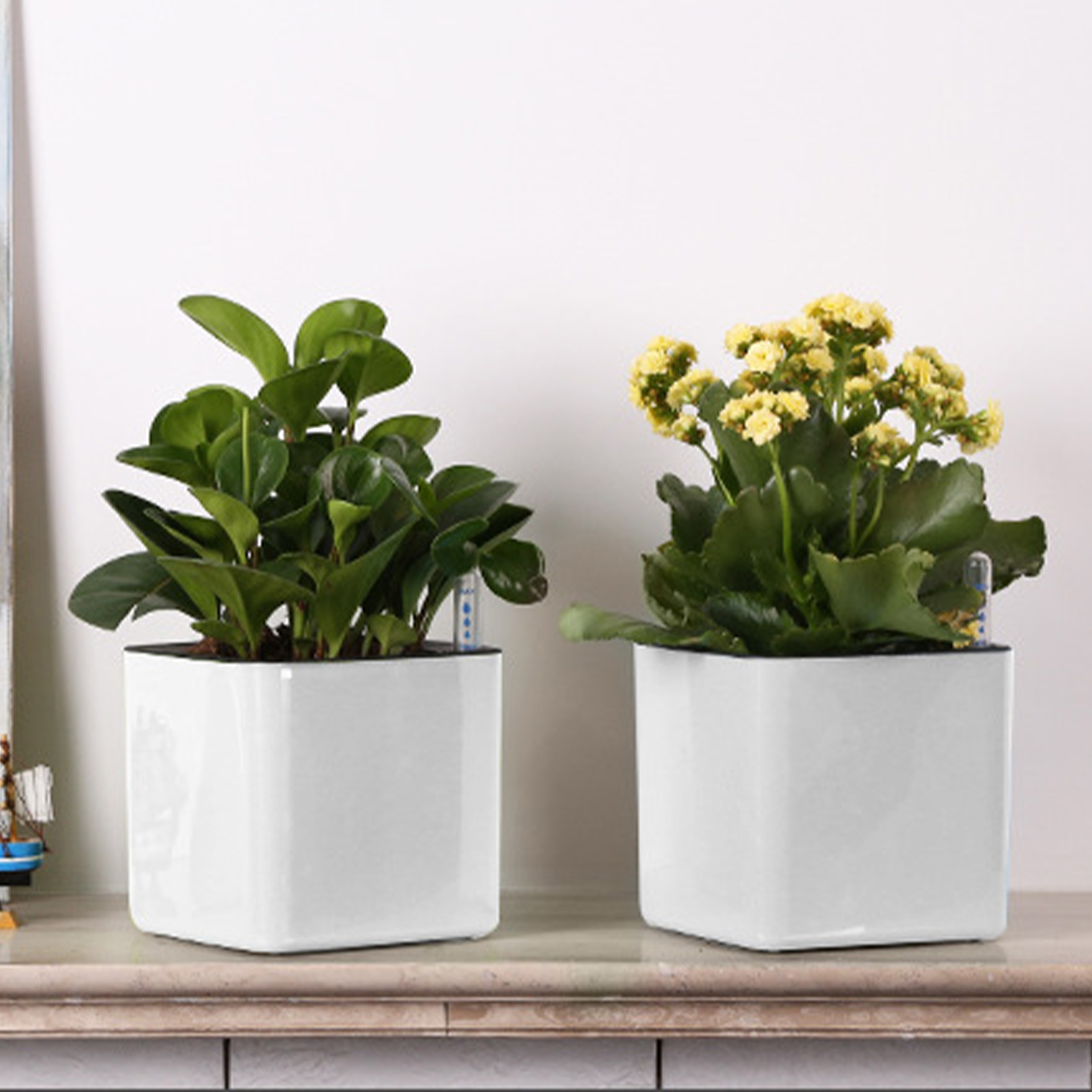 3 size Lazy flowerpot Green Pl - Self Watering Insert review and price