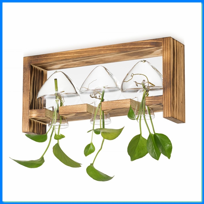 Glass Propagation Station for  - Propagation Station Vase review and price