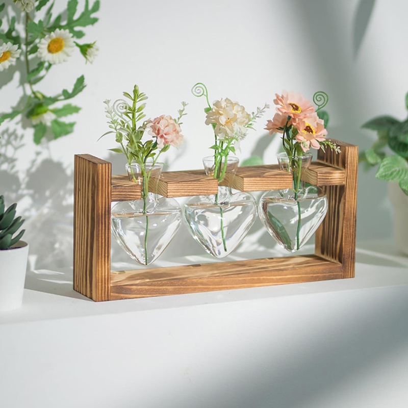 Glass Propagation Station for  - Propagation Station Vase review and price