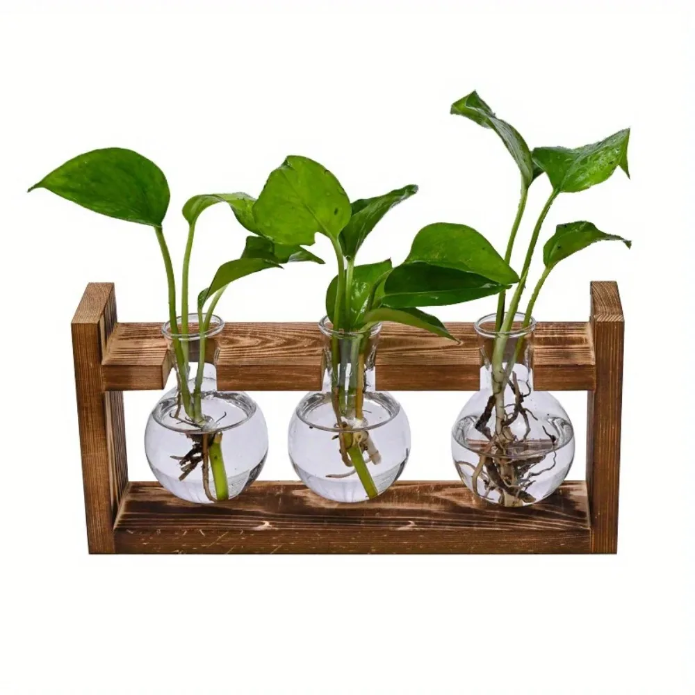 Tabletop Glass Planter Propaga - Propagation Station Vase review and price