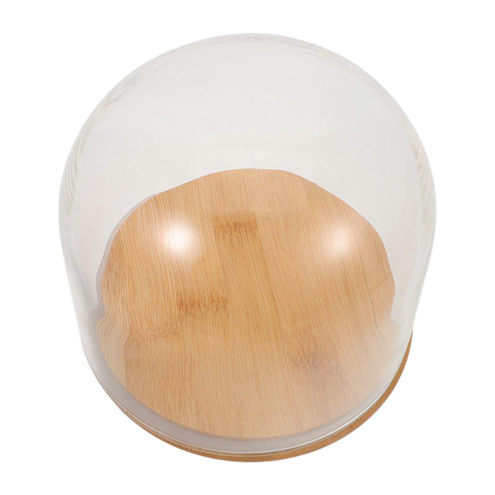 Clear Glass Dome Cloche with S - Plastic Dome Clear review and price