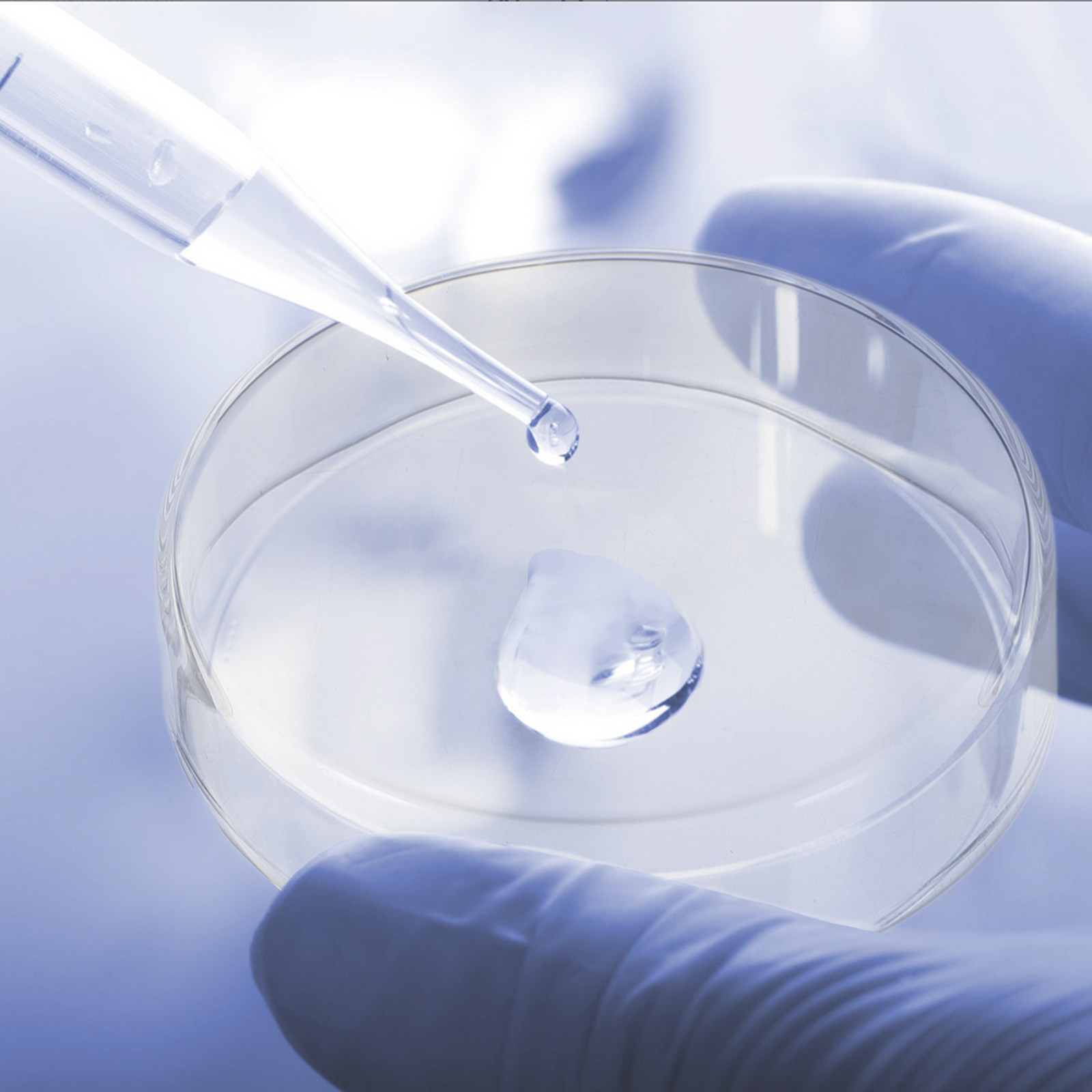 1Set Thickened Glass Petri Dis - Agar Tissue Culture review and price