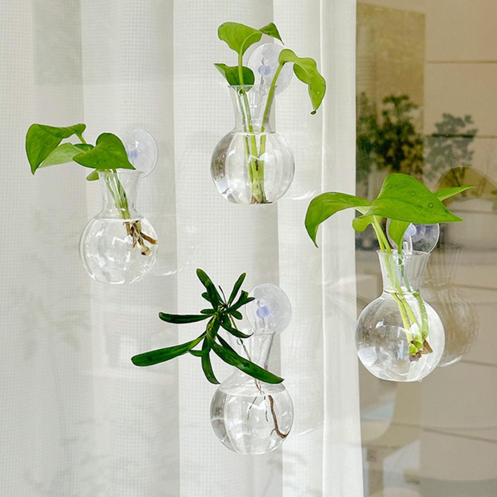 Window Planter Vase Window Pla - Propagation Station Vase review and price
