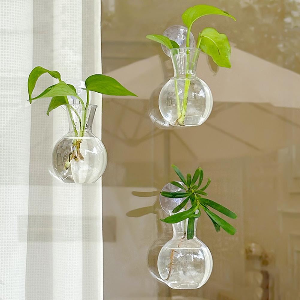 Window Planter Vase Window Pla - Propagation Station Vase review and price
