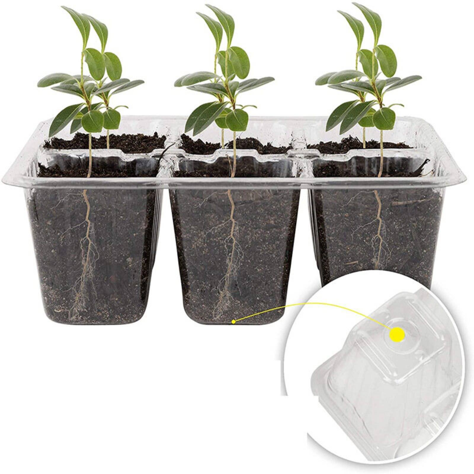 12 Compartment Germination Tra - Humidity Dome Kit review and price