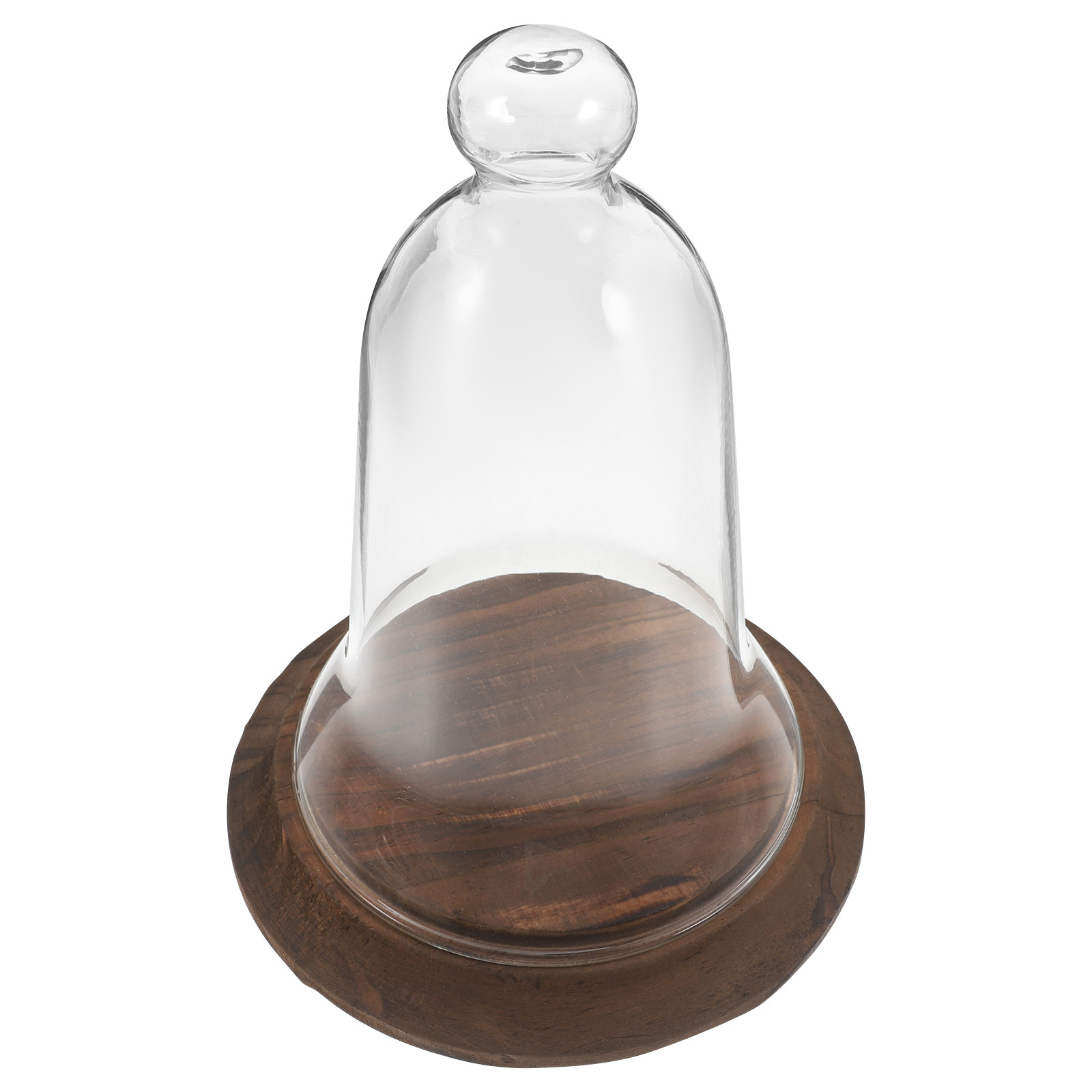 Clear Glass Cloche Dome High B - Plastic Dome Clear review and price