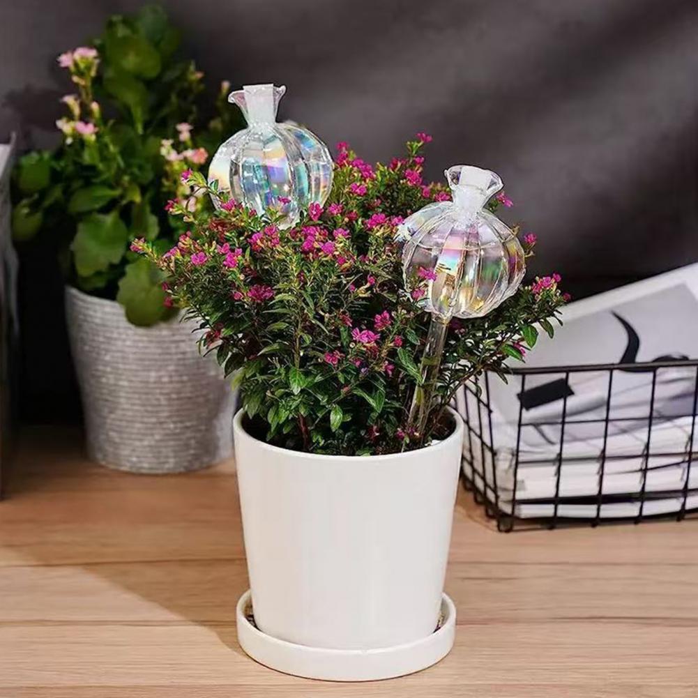 24cm Cactus Self Watering Bulb - Self Watering Insert review and price
