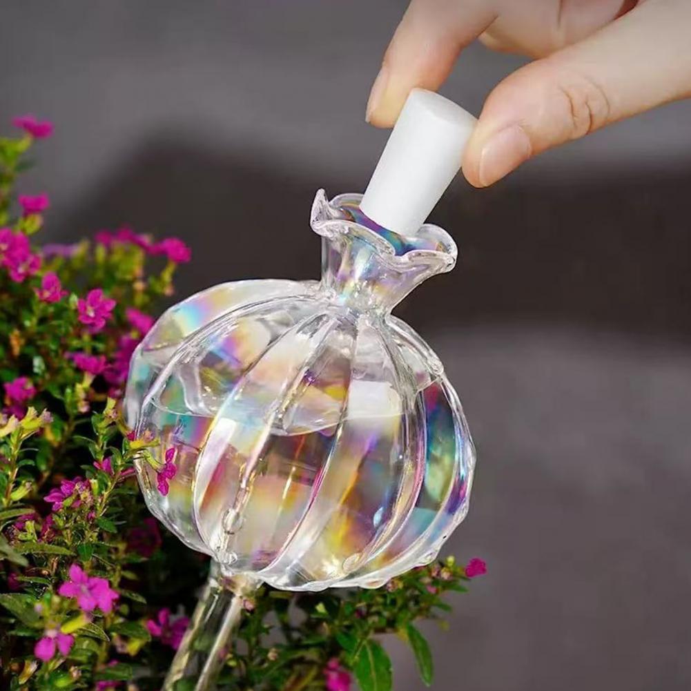 24cm Cactus Self Watering Bulb - Self Watering Insert review and price