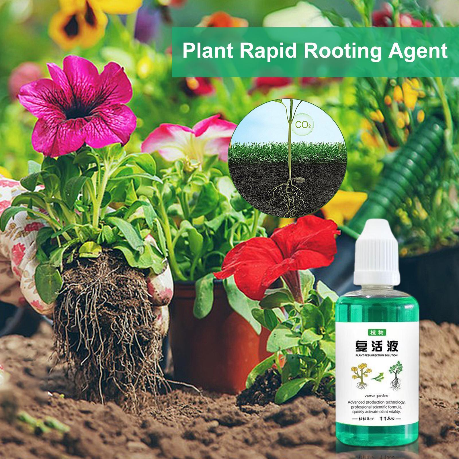Root Stimulator For Plants 50m - Root Stimulator Liquid review and price