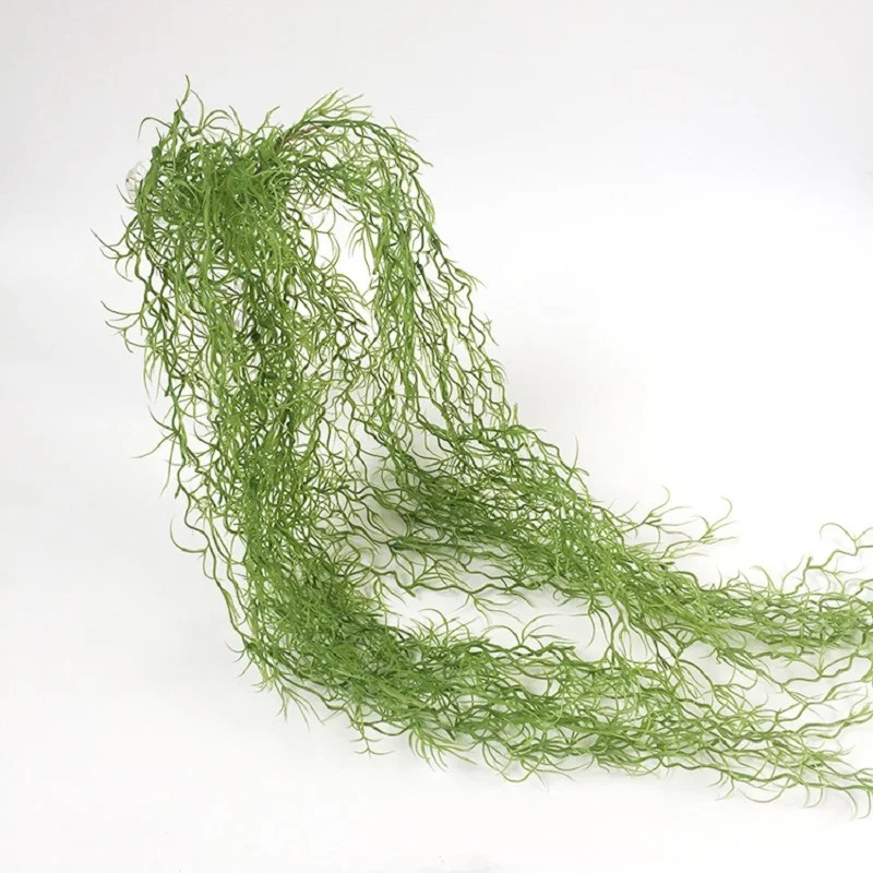 1/3/5pcs Air Grass Green Plant - Sphagnum Moss Dry review and price