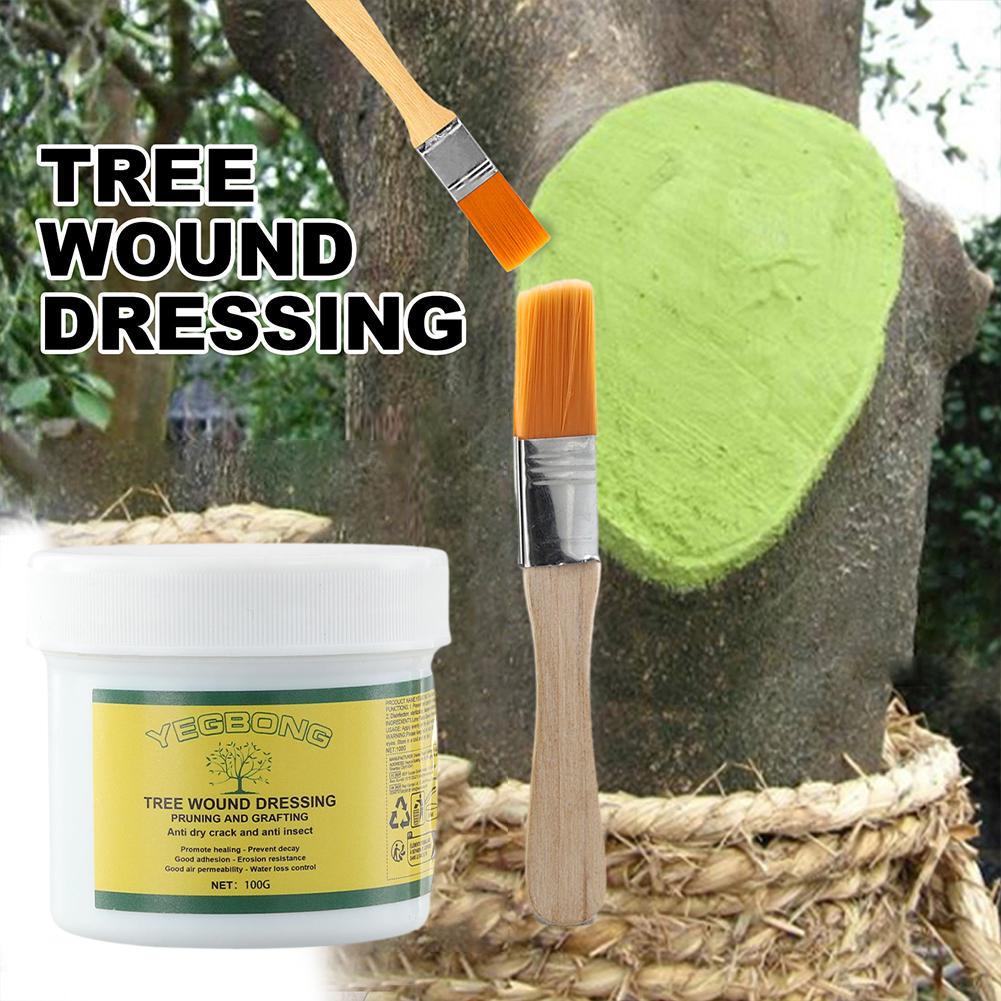100g Tree Grafting Paste Tree  - Rooting Hormone Powder review and price
