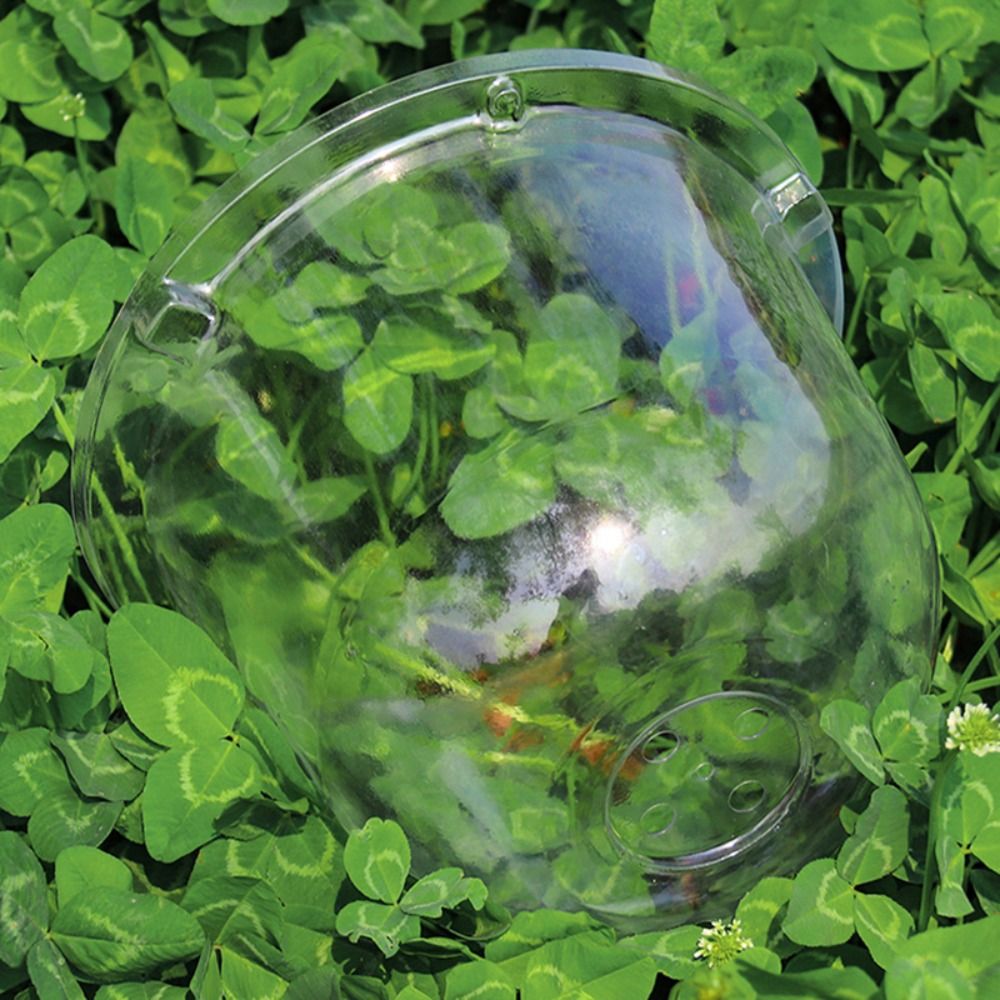 Reusable Clear Plastic Seedlin - Plastic Dome Clear review and price