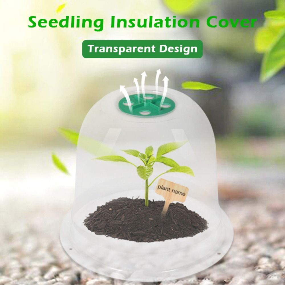 Reusable Clear Plastic Seedlin - Plastic Dome Clear review and price