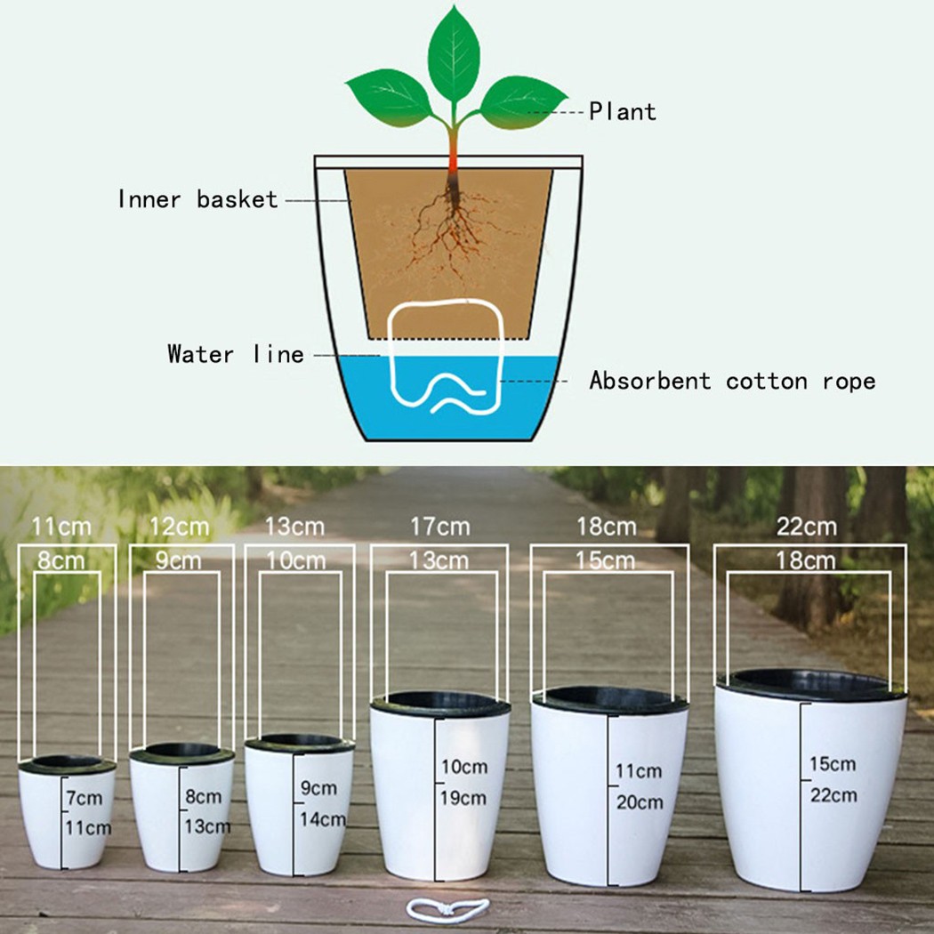 Automatic Watering Flower Plan - Self Watering Insert review and price