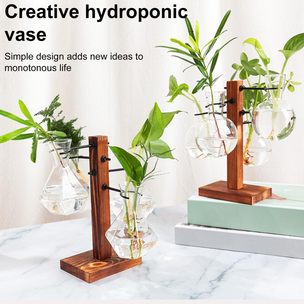1 Set 10*25cm Plants Propagati - Propagation Station Vase review and price