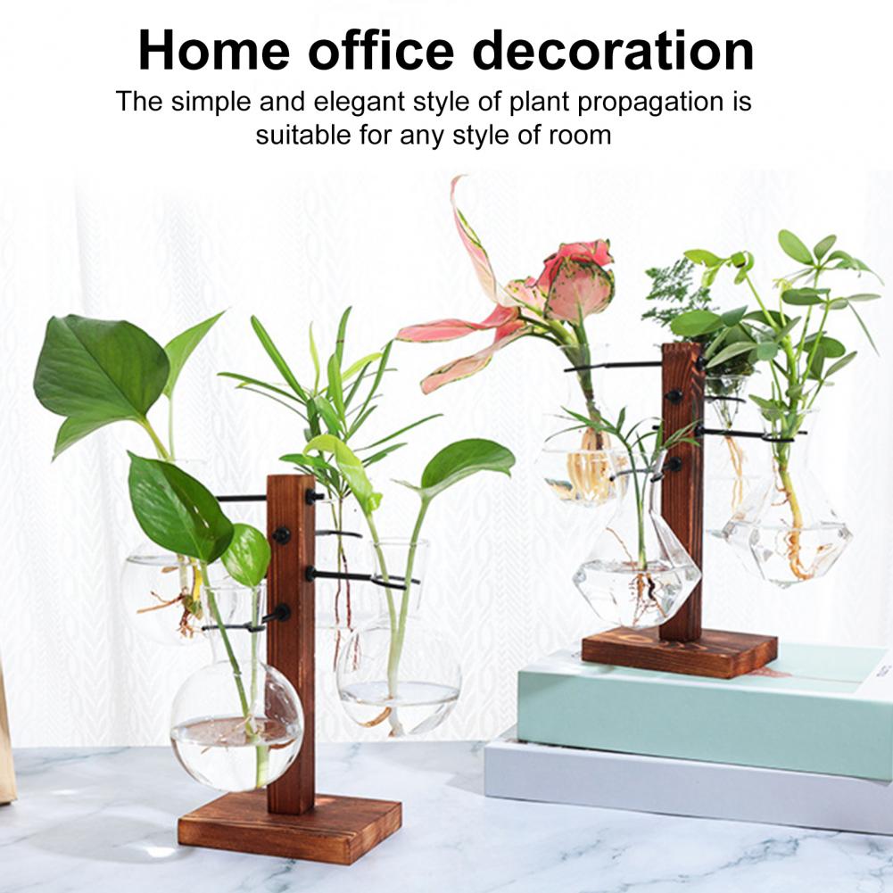 1 Set 10*25cm Plants Propagati - Propagation Station Vase review and price