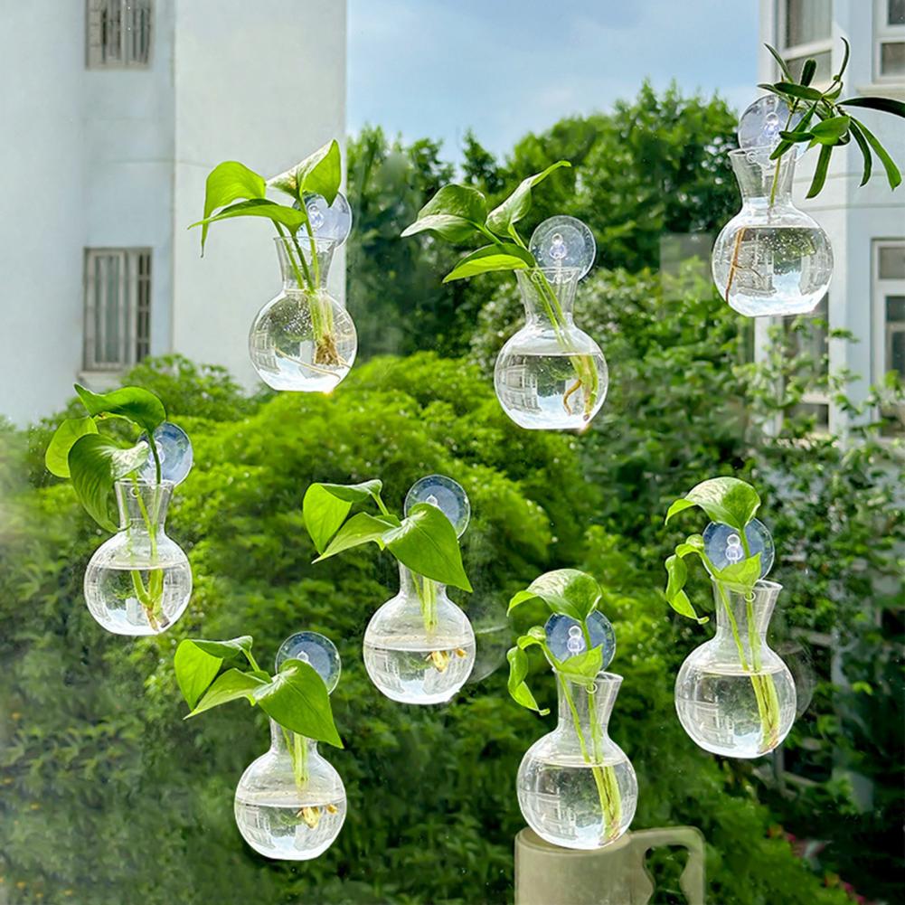 1/2/3/4/6/8Pcs Plant Propagati - Propagation Station Vase review and price