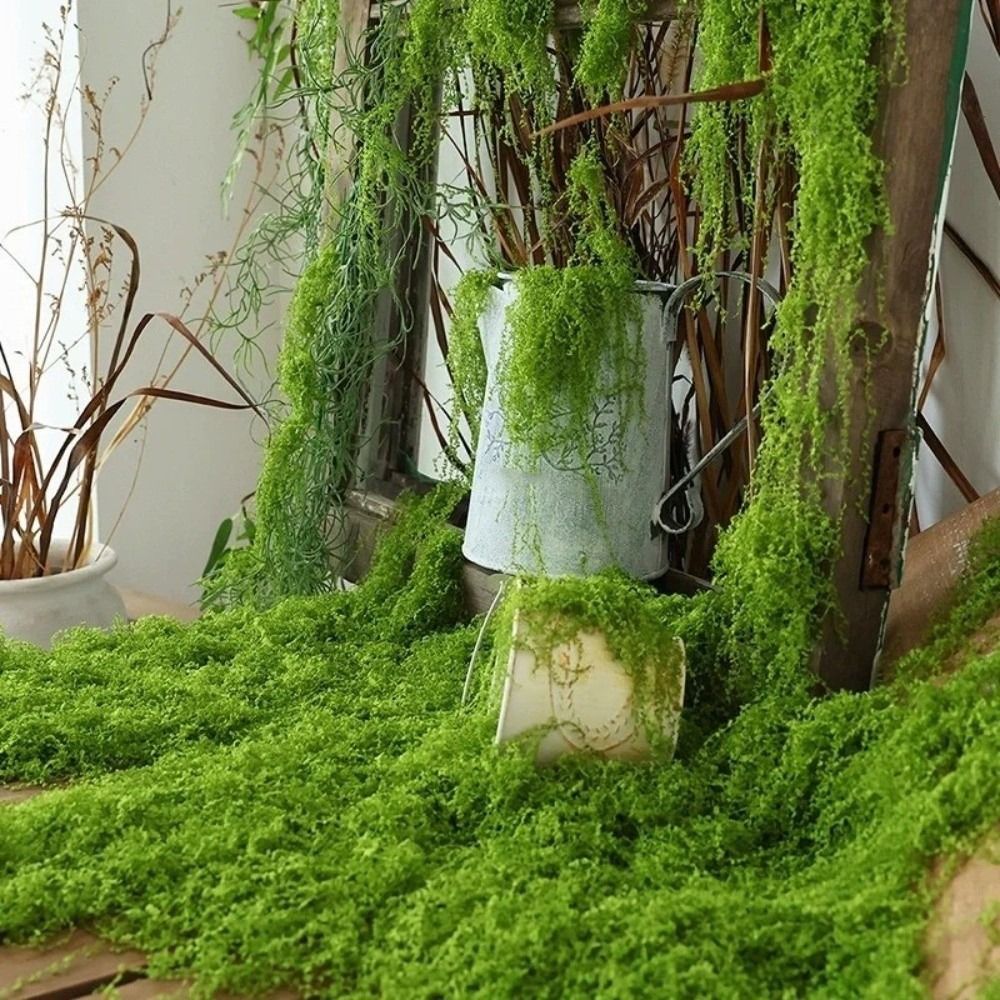 DIY Artificial Grass Rug Durab - Sphagnum Moss Dry review and price