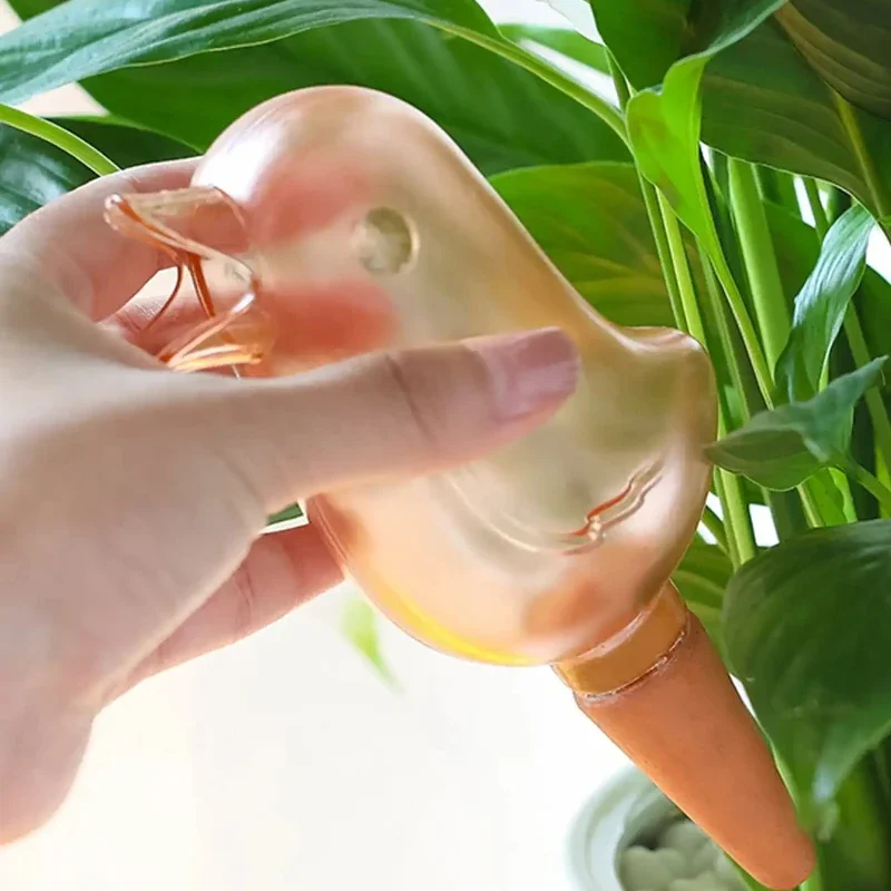 High quality automatic flower  - Self Watering Insert review and price