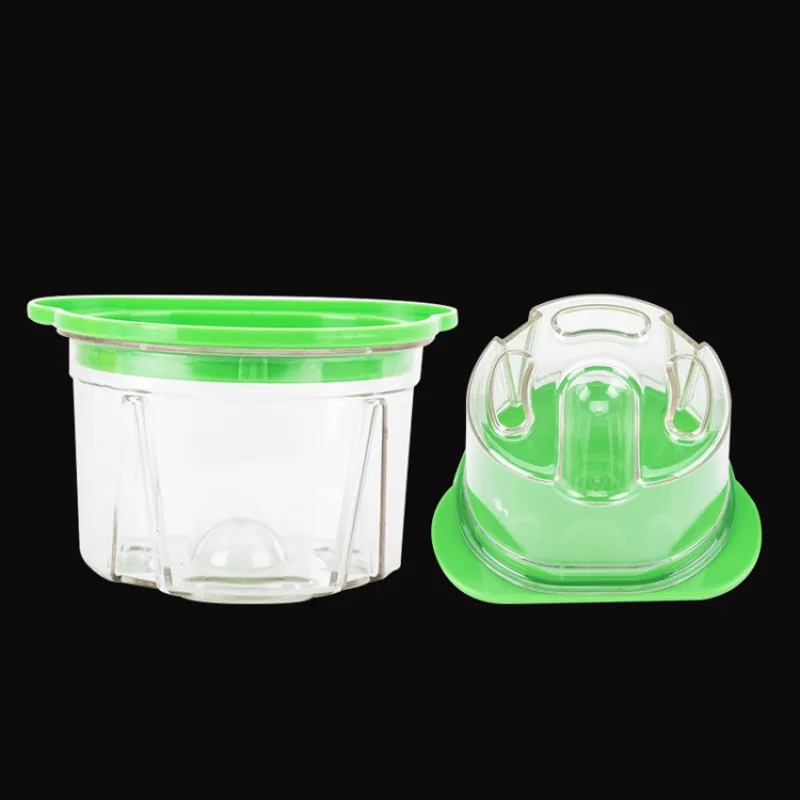 3Pcs Dental Plastic Agar Box D - Agar Tissue Culture review and price