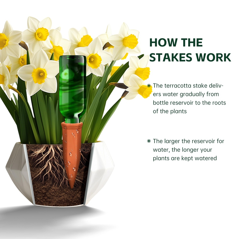 Terracotta Watering Spikes,Win - Self Watering Insert review and price