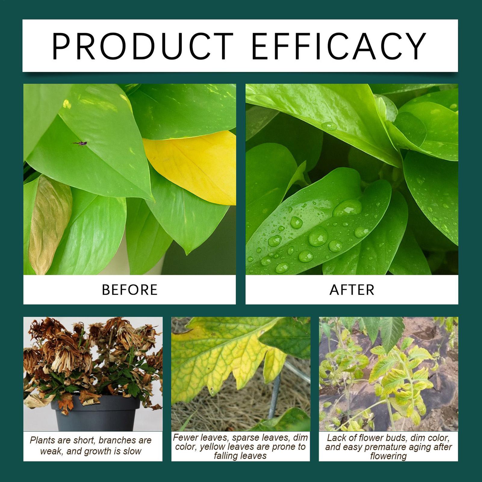 100ml Plant Rooting Liquid Dro - Root Stimulator Liquid review and price