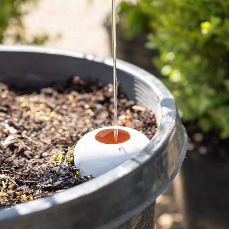 Plant Watering Ball, Terracott - Self Watering Insert review and price